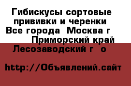 Гибискусы сортовые, прививки и черенки - Все города, Москва г.  »    . Приморский край,Лесозаводский г. о. 